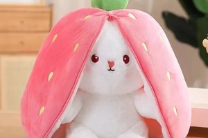 پایین ترین قیمت عروسک طرح خرگوش در دیجی کالا